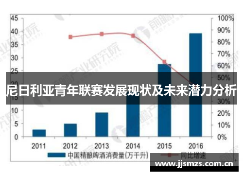 尼日利亚青年联赛发展现状及未来潜力分析